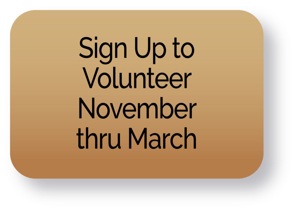 20230607_St_Paul_Button_Master-Orange(Sign Up to Volunteer Nov thru March)7a
